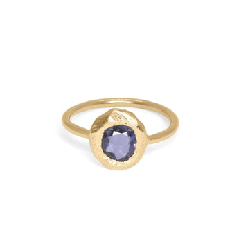 18K Freeform Small Solitaire Ring in Purple-Blue Sapphire Rings Page Sargisson