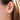 18K Carved Salt & Pepper Diamond Earrings Hidden Page Sargisson 