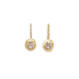 18k Smith Oval Diamond Fixed Hook Earrings- 1CT Earrings Page Sargisson 
