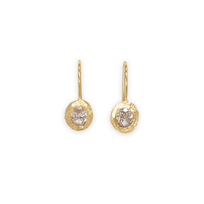 18k Smith Oval Diamond Fixed Hook Earrings- 1CT Earrings Page Sargisson 