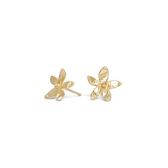 Everlee Stud Earrings Earrings Page Sargisson 10K Gold 