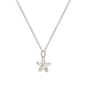 Small Everlee Necklace Necklace Page Sargisson Sterling Silver 